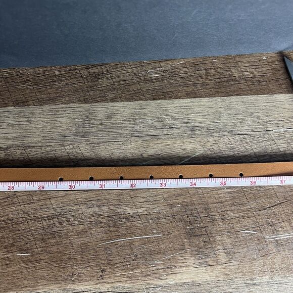 American Eagle Grey Genuine Cow Leather Snake Print Belt Size Medium, New - Picture 11 of 12